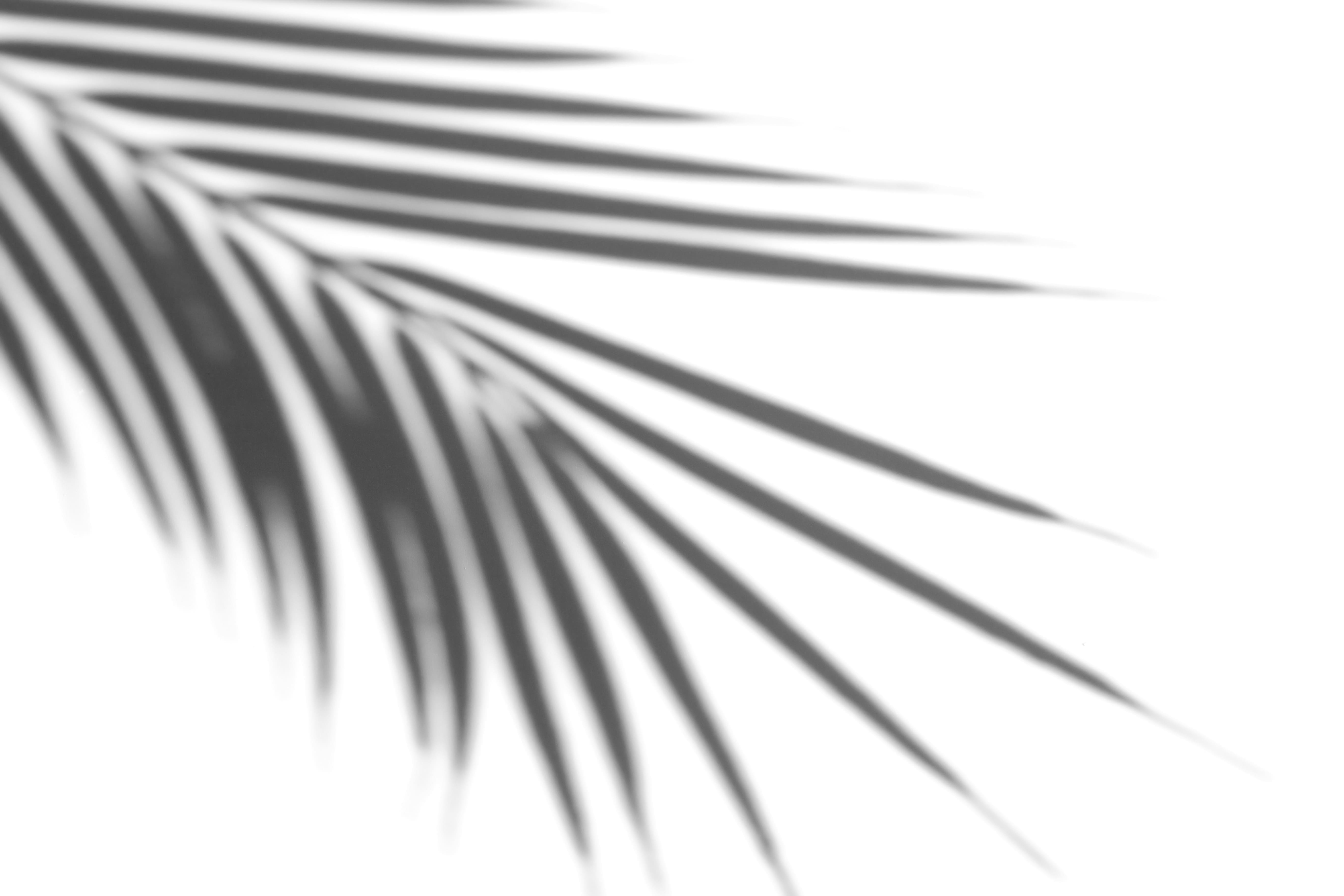 TERROU-BI SALY-decor