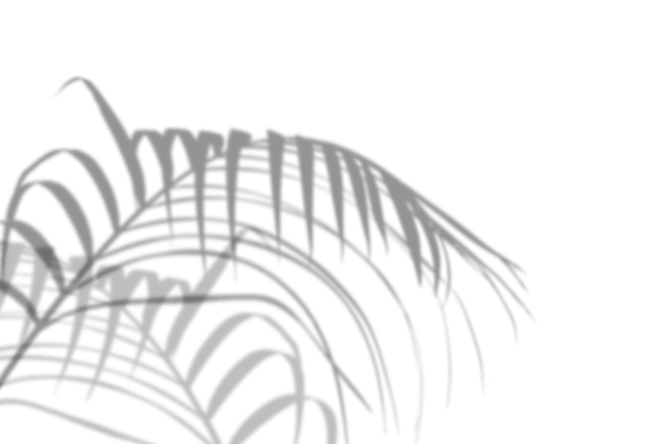 TERROU-BI SALY-decoration